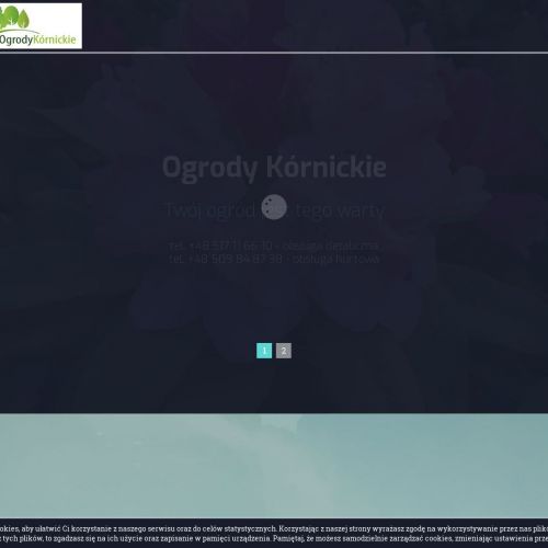 Szkółka roślin ozdobnych w Poznaniu