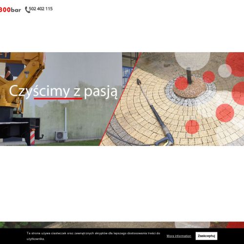 Poznań - mycie dachów